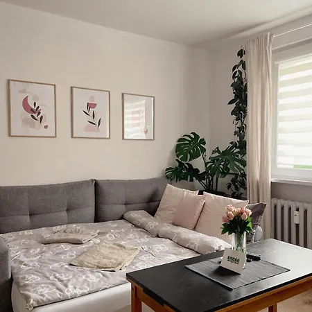 Apartment Projekt Pusz *