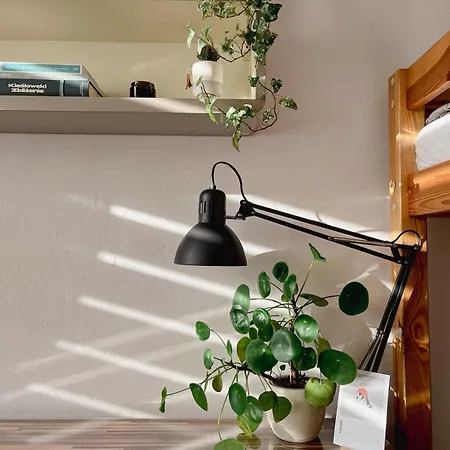 Apartment Projekt Pusz